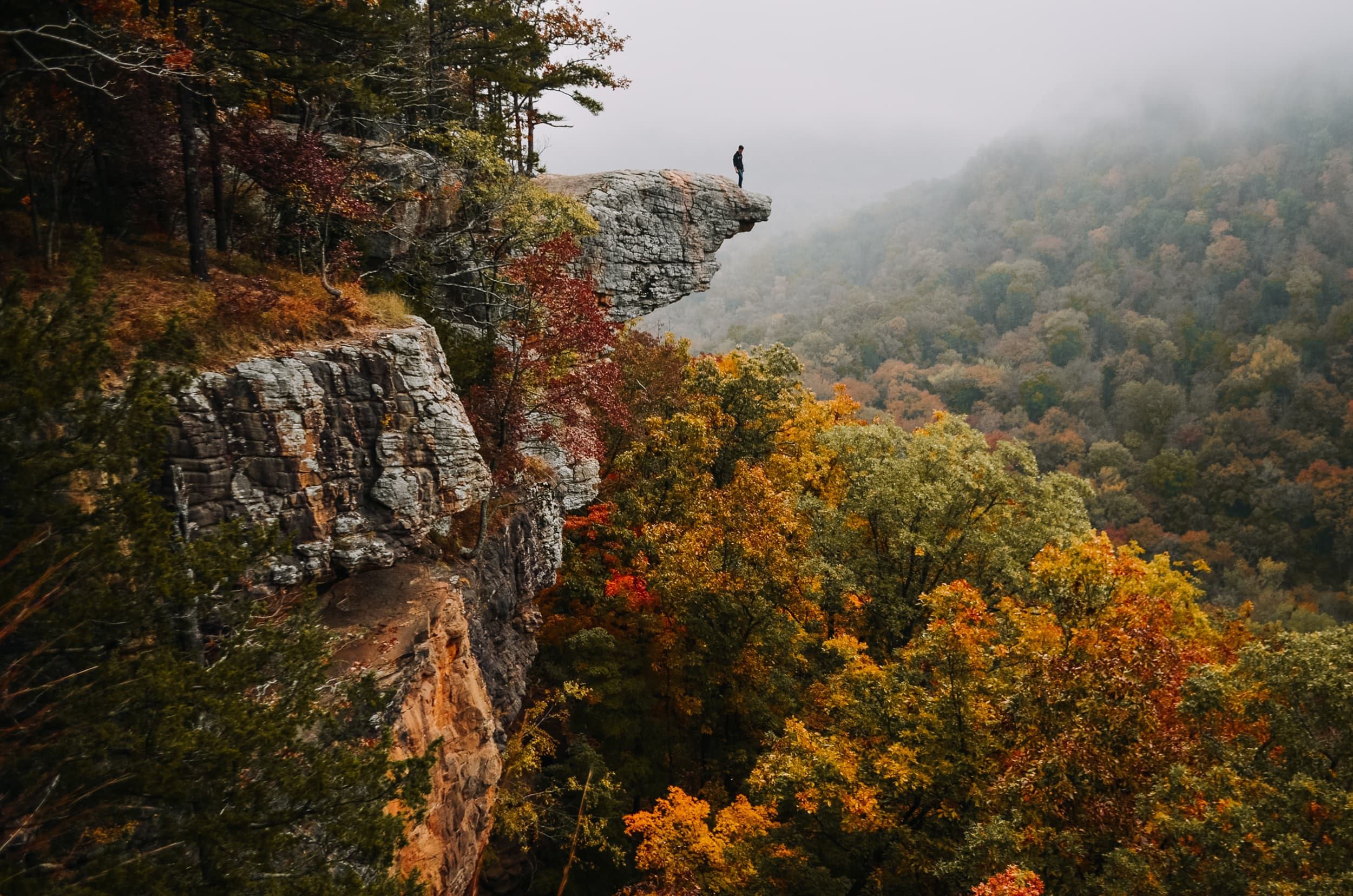 Hawksbill Crag overlook in the Arkansas Ozarks